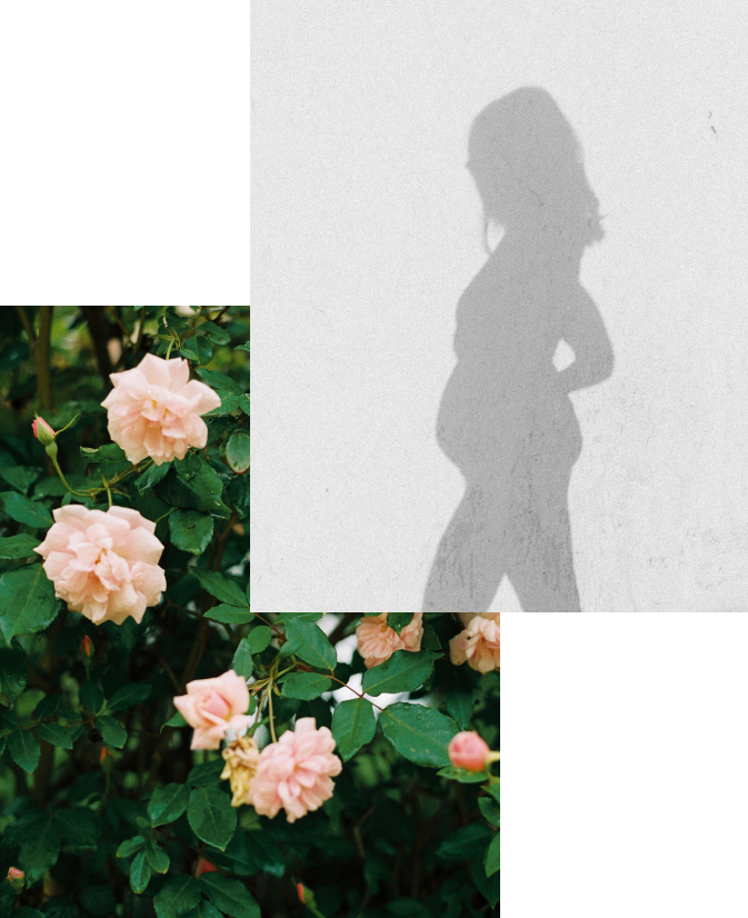 A photo collage of the shadow of the pregnant woman and blooming pink roses Photo credits: Róża Kadi and Maximilian Salzer, Wurzelwerkstatt Retreat