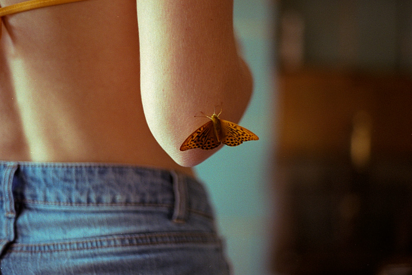 An orange butterfly landed on the soft skin